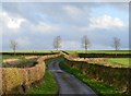 Country lane, Shalbourne, Wiltshire in RG17 0RL