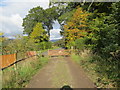 Woodland track from Gala Hill joining road at Wood End in TD1 1JN