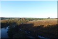 Nidd and Viaduct Wood in HG1 3EB