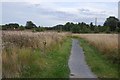 Path, Seton Sands golf course in EH32 0PG