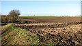 Farmland west of Acle in NR13 3FB