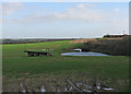 Farm pond near Hatchpen in Ermine Ward