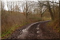 Track through Horton Country Park in KT19 8PL