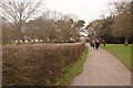 Path in Nonsuch Park in SM3 8EG
