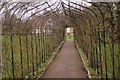 Rose walkway in the gardens at Nonsuch Mansion in SM3 8DP