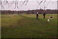Dogwalkers in Nonsuch Park in KT17 2DL