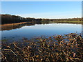 Waterlogged agricultural land on the Ribble floodplain in PR5 4LQ