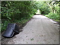 Lay-by off the A47; fly-tip in PE37 8HY