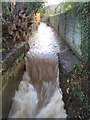 Tamerton Foliot Stream waterfall in PL6 6FS