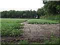 Potato field at Spicer's Corner in NR19 2JN