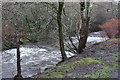 Weirs, River Sirhowy, Pontllanfraith in NP12 0BX