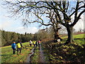 Llwybr Caniataol Parc Slebech Park Permissive Path in SA62 4AX