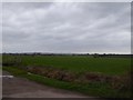 Fields on Curry Moor north-west of Currymoor Drove in TA3 5AP