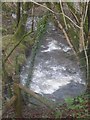 Nant yn ei llawn nerth / A stream in full spate in LL54 7PH