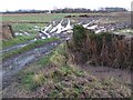 Waterlogged farmland in WR8 9DH