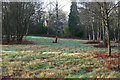 Open area, Rickford Common in GU3 3RQ