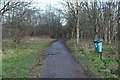 Woodland Walk, Eglinton Country Park in KA12 9PS
