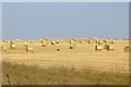Round bales, Gallow Hill in EH23 4GW