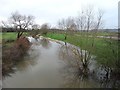 The River Idle from Mattersey Bridge in Mattersey
