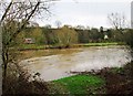 River Severn near Bewdley, Worcs in DY12 1NF