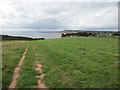 The Coastal Path at Danger Point in EX9 7AY
