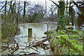 River Chelmer in flood, 1990 in CM3 3SA
