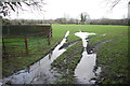 Waterlogged Field at Thorncombe in TA20 4ND