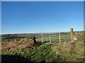 Field gate on Whinny Lane in DH8 0QL