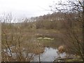 Flooded marsh, Cleddans Burn in G81 2HS