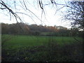 Field by Watling Street, Radlett in WD7 7LN