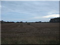 Stubble field off the A165 in Wilsthorpe