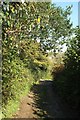 Byway near Morcombelake in DT6 6EW