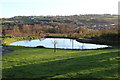Pond at Waen-y-Coed, north of Pentwyn-mawr in NP11 4HS