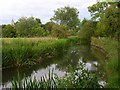 The River Wylye, Steeple Langford in SP3 4NN