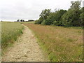 Bridleway by wheat field in Lillingstone Dayrell with Luffield Abbey