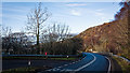 Road, bridge and tree just before Ullapool in Ullapool