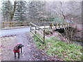 Bridge over the Moniack Burn in IV5 7PQ