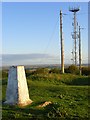 Mast and trig point, Beacon Hill in SP4 9JJ