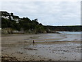 Beach at North Sands Bay in TQ8 8JL