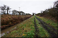 Bridleway alongside River Hertford in YO14 9PD