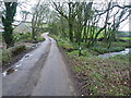 Newlyn Road crosses the Lamorna stream in TR19 6BD