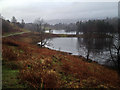 View from the perimeter path round Tarn Hows in LA22 0PR