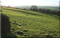 Hillside pasture above Mount Grace Priory in DL6 3AP