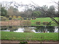 Pond at Oakland Park Golf Club in HP8 4DA