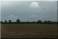 Flat field near Hall Farm in NR34 8LQ