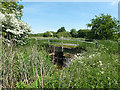 Bridge over Cripsey Brook in CM5 0NB