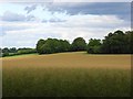 Farmland, Newton Tony in SP4 0HW