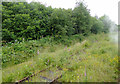 Disused railway line at Leekbrook, Staffordshire in ST13 7DR