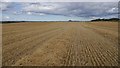 Harvested field, Garleton in EH32 0QH
