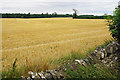 Harvested field near Stonesfield in OX29 8EW